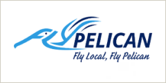 FlyPelican