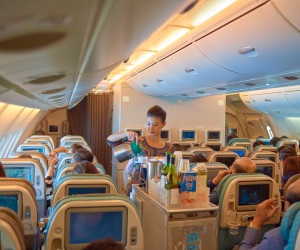 Flight Attendants